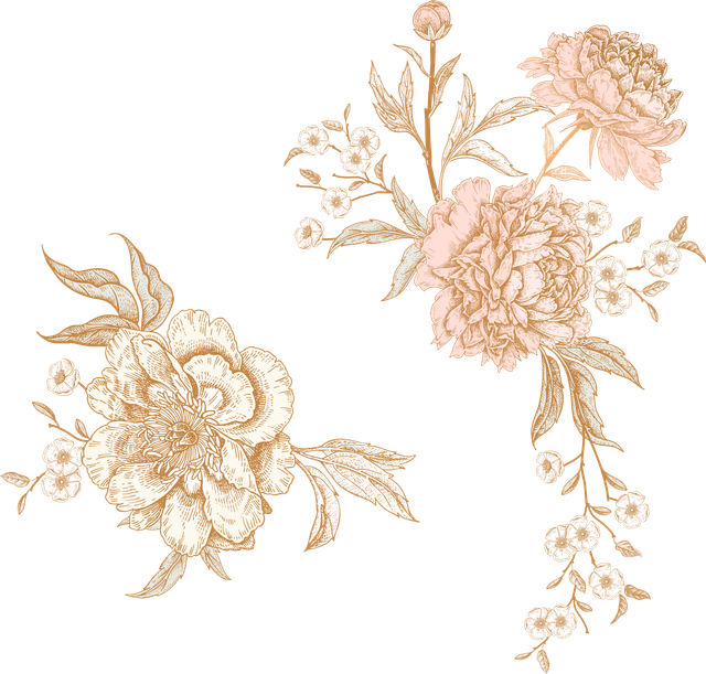 shutterstock 1121485745 Converted.png