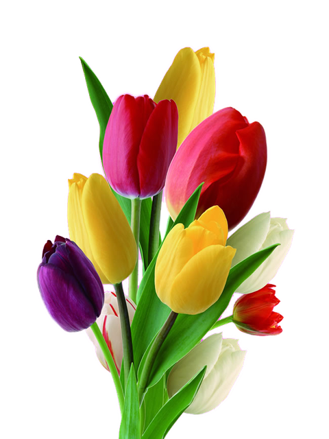 pngegg (82).png