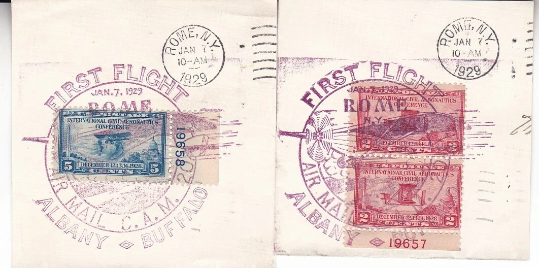 https://i.ibb.co/SwX9ZYZC/19657.jpg