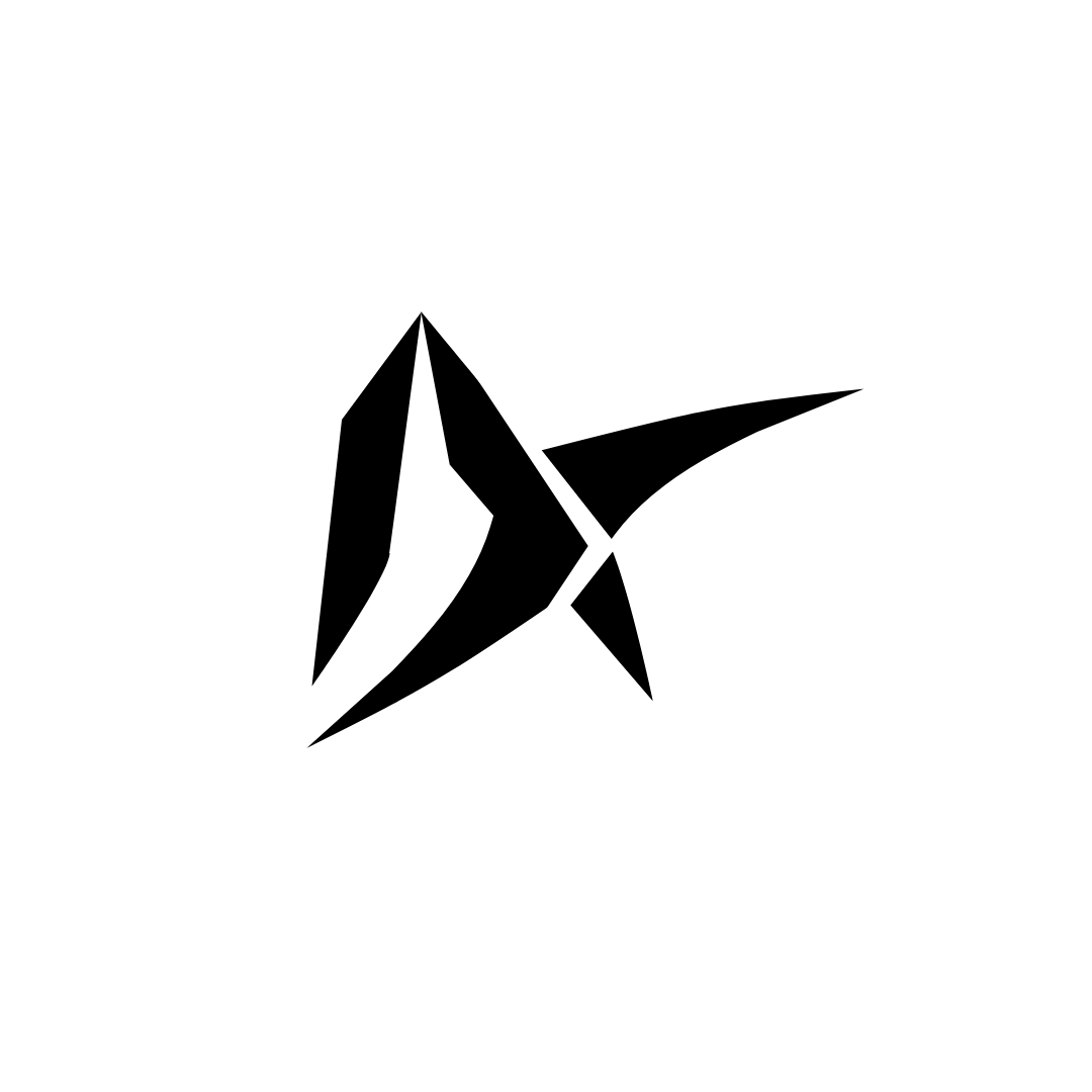 DX1 Logo