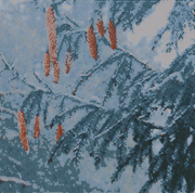 winter9.gif