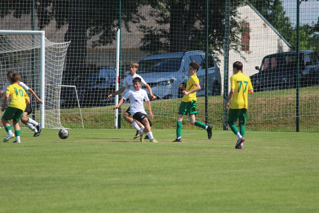 IMG-3605