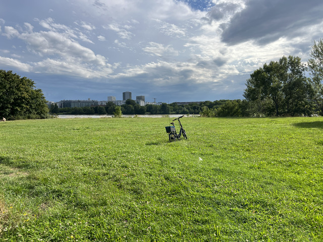 IMG-8709.jpg