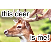 Untitled258 20260606134035