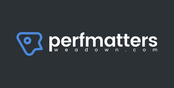 Download Perfmatters 2.6.6 – Lightweight WordPress Performance Plugin