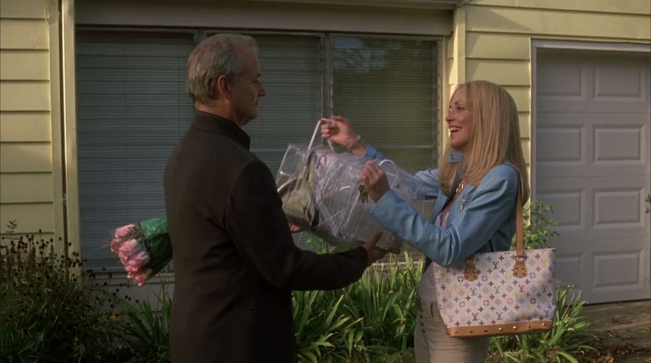 Broken Flowers Screenshot