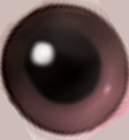 ojo conejo.png