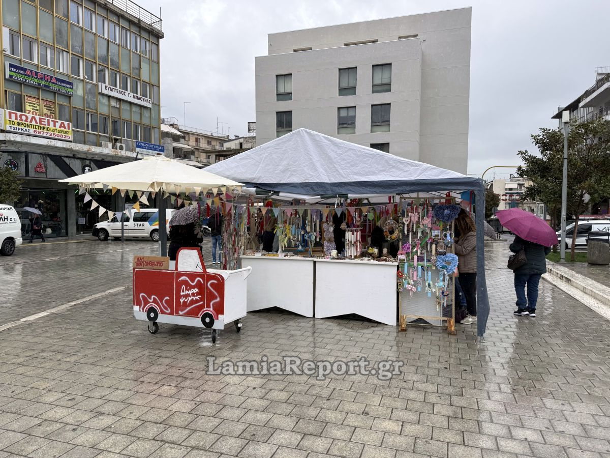 IMG 4664