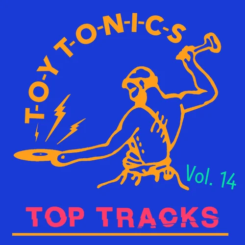 VA – Toy Tonics Top Tracks Vol. 14 [TOYT207]