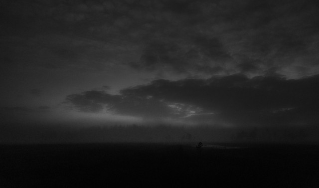 DSC06345