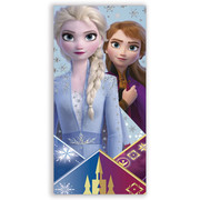 300142-FX-Frozen