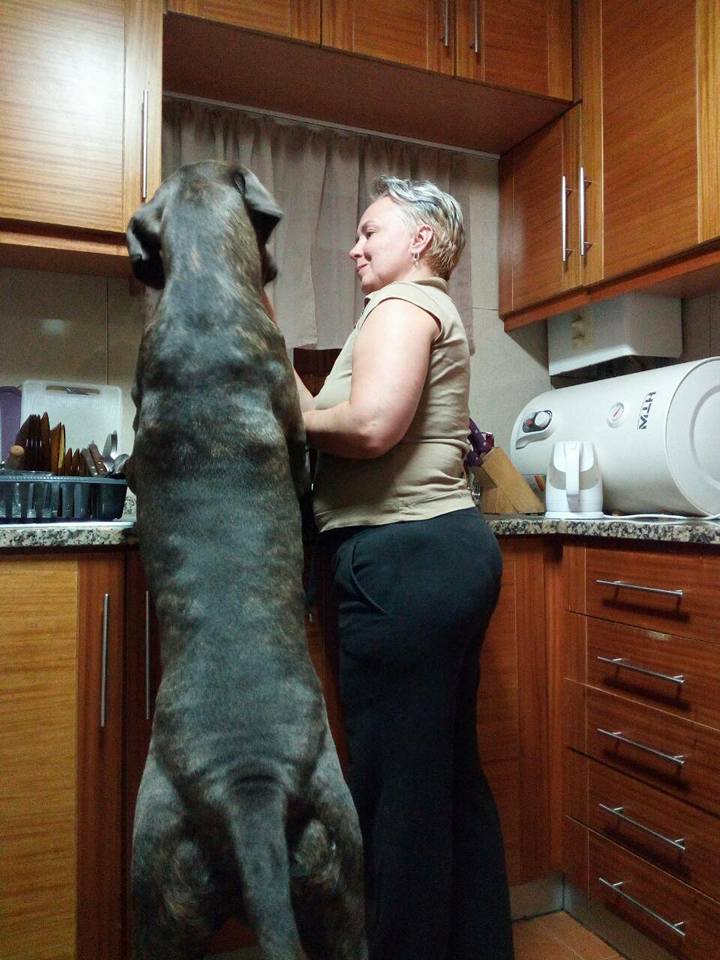 Boris-macho.jpg