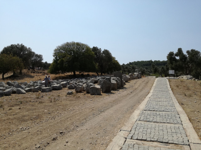 teos5.jpg
