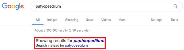 mispelling-example.jpg