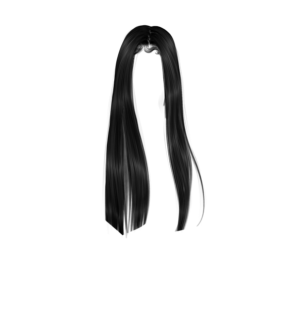 Cabelo 2.png