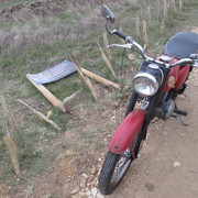 IMG-3668