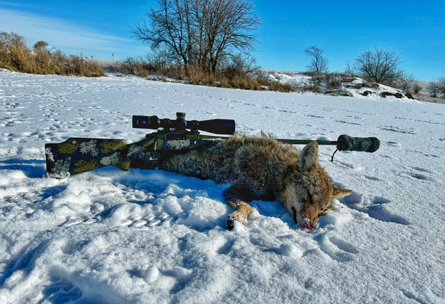 22cm88
