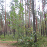 IMG-9710