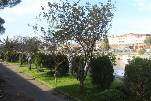 IMG-1819