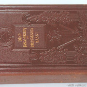 IMG-7982