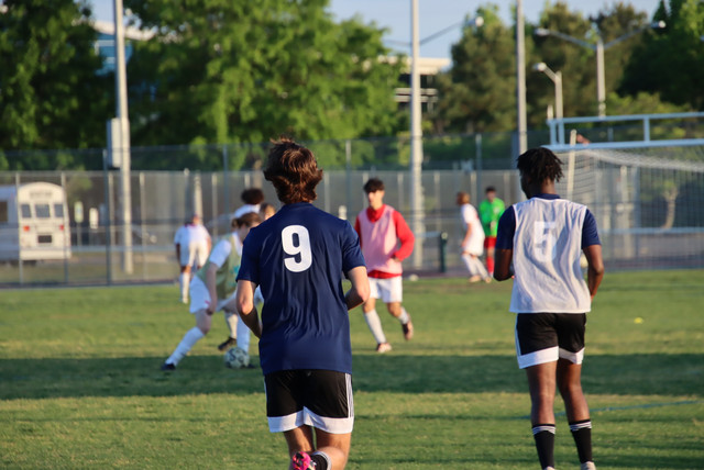 IMG-0090