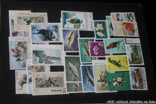 IMG-3550.jpg
