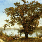 A-View-from-Sacramento-1875