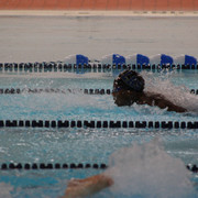 IMG-0433