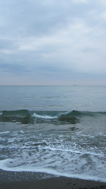 IMG-1248