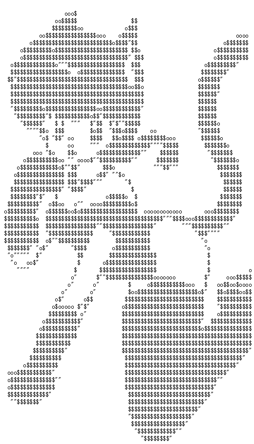 Capture.png