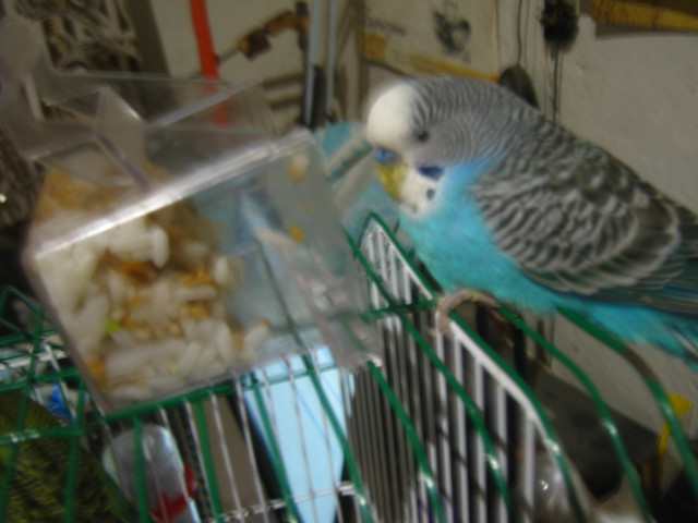 IMG-6423.jpg