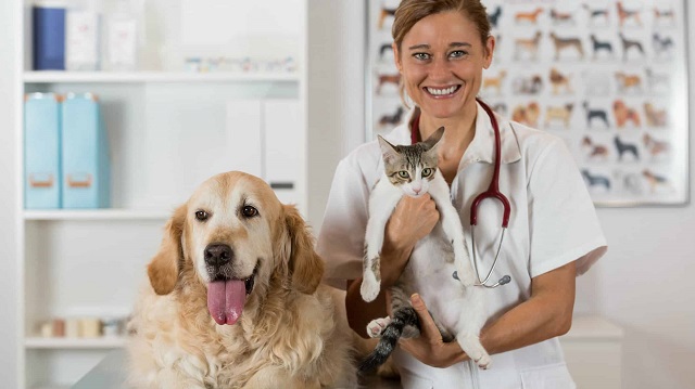 veterinary2.jpg
