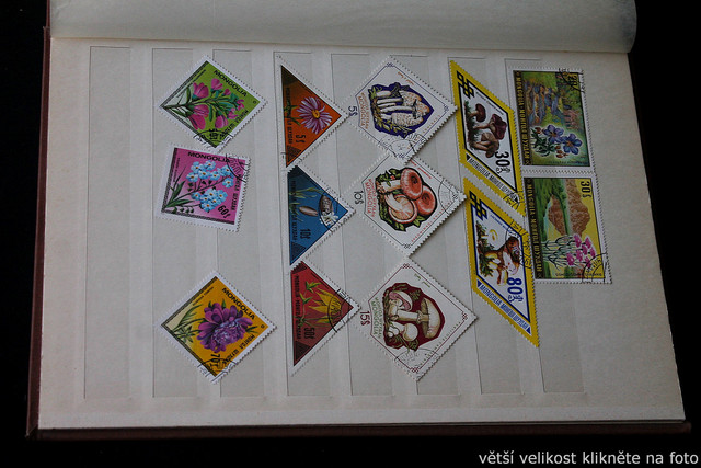 IMG-9597.jpg