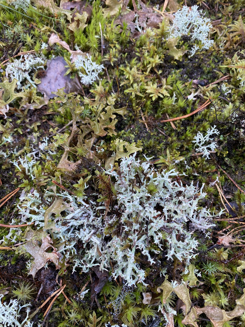 F1347-E9-F-2-D85-48-B5-8-CA1-23213-B9-A2