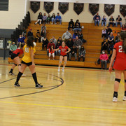 IMG-0113