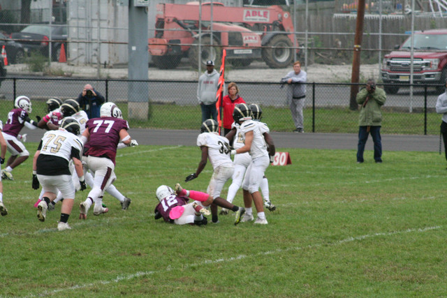 IMG-8221.jpg