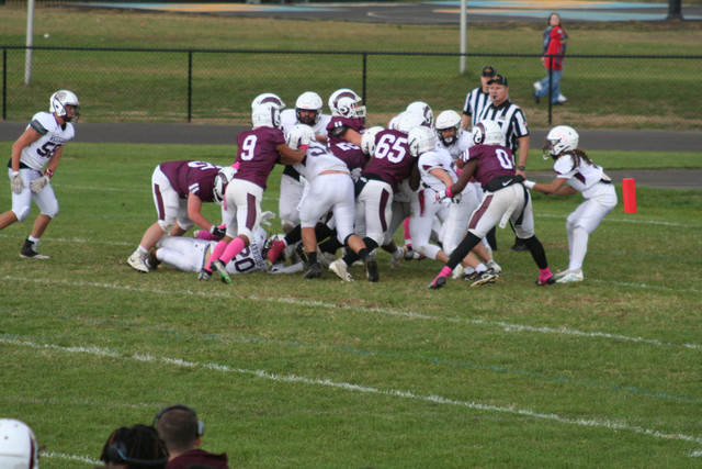 IMG-0204.jpg