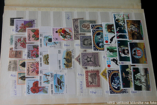 IMG-3735.jpg