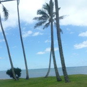 P1070326