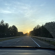 IMG-0443