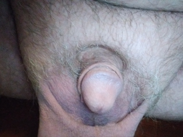 17291238400805632263502130221837