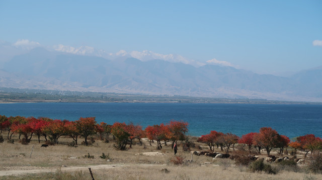 195.jpg