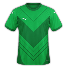 https://i.ibb.co/T1vrDNv/Puma-972.png