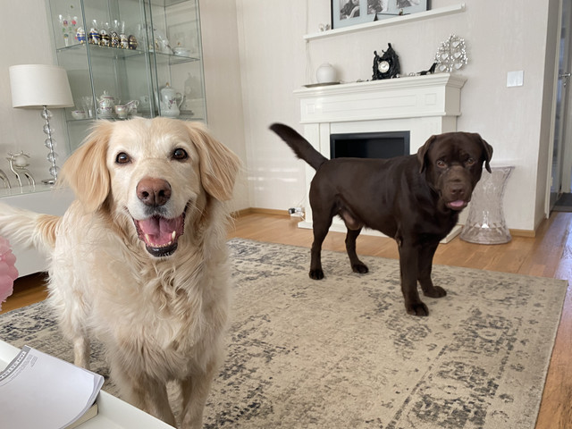 0-D1-F91-FA-BF9-A-4992-A4-E8-B6-F39657-D