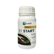 START-6