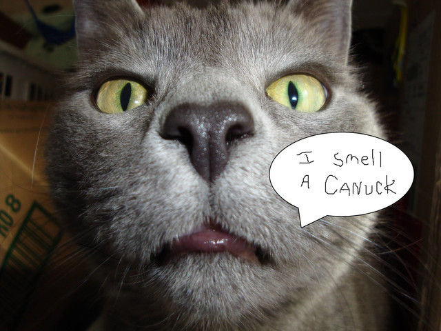 sniffer
