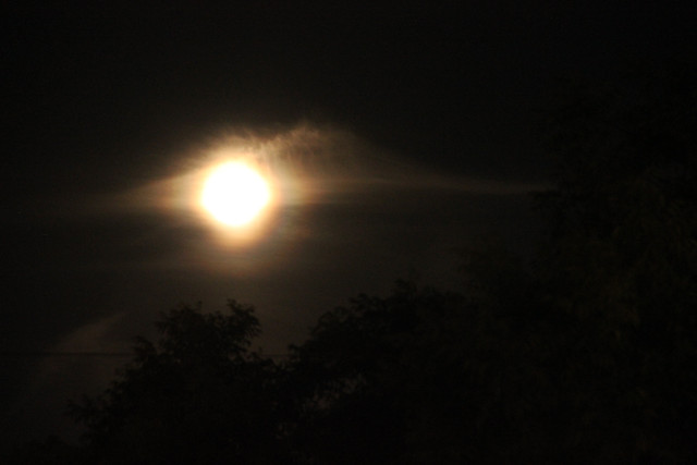 Luna1.jpg
