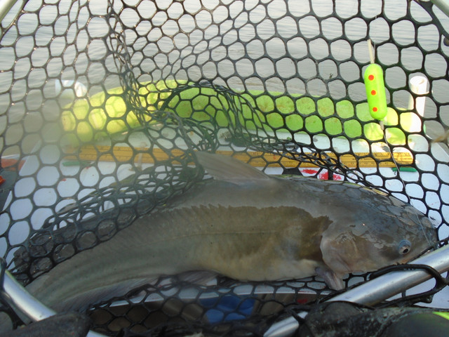 DSC00109