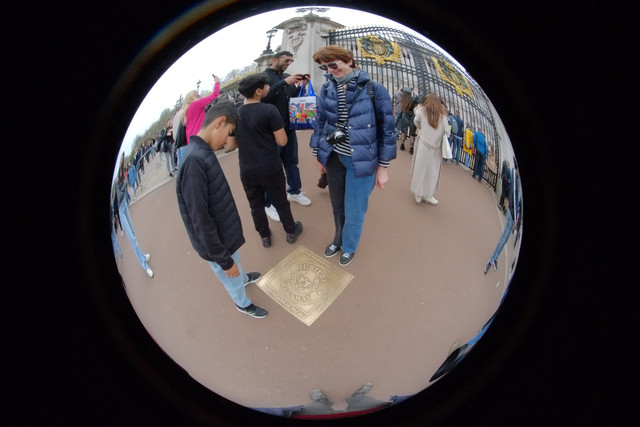 DSCF8708.jpg