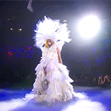8.gif